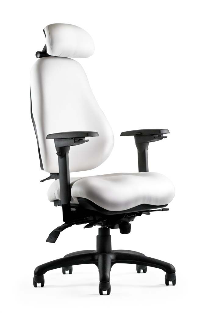 NPS8600: Superior Ergonomic Seating